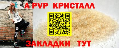 ECSTASY Беслан