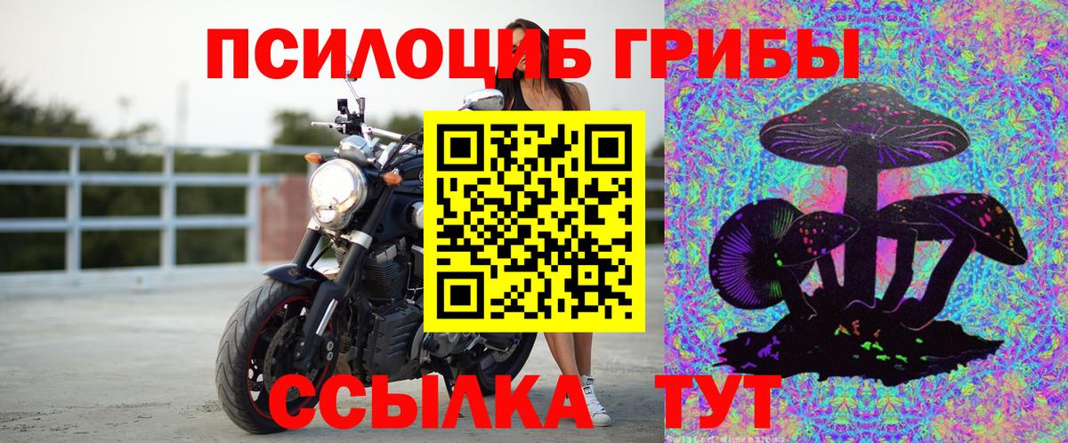 Галлюциногенные грибы Psilocybine cubensis Зеленокумск